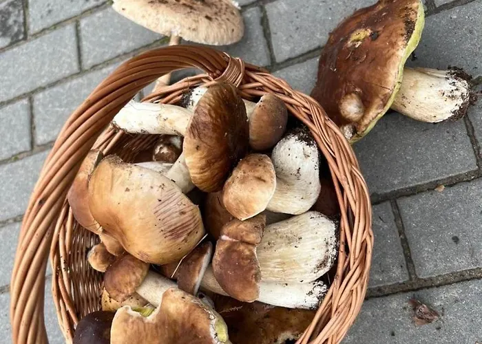 Vakantiehuis Nad Jeziorem *