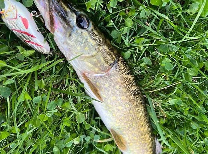 Holiday home Nad Jeziorem